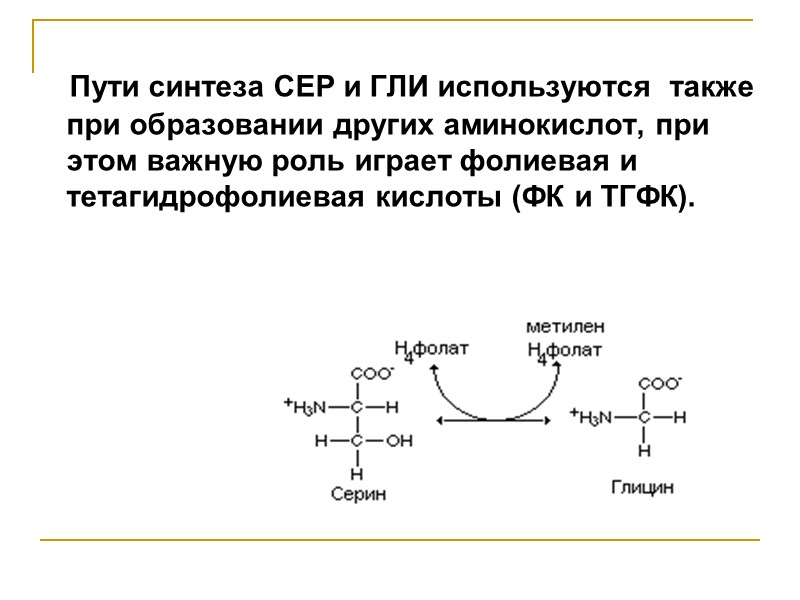 Пути синтеза СЕР и ГЛИ используются  также при образовании других аминокислот, при этом